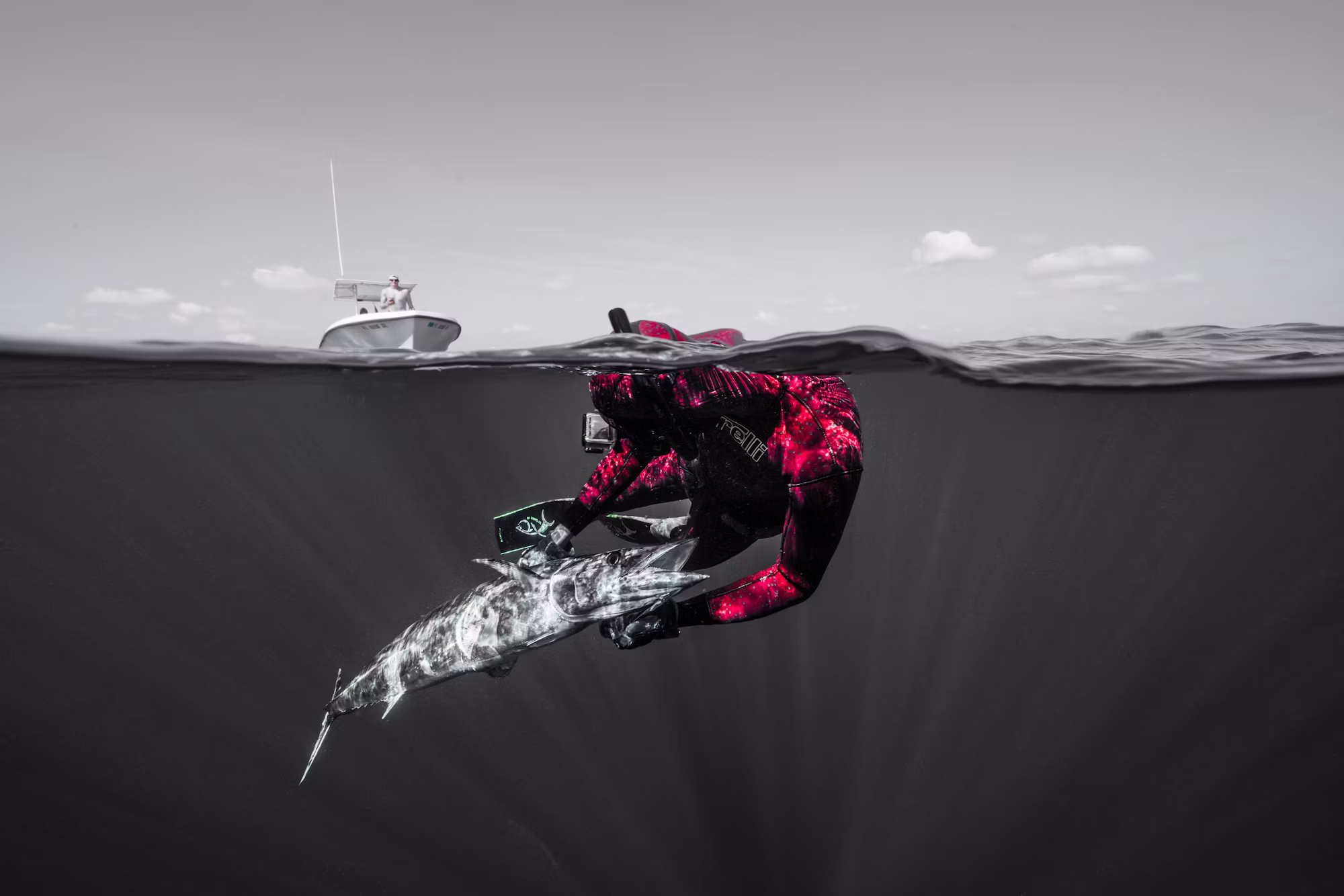 Discovering the Ocean’s Secrets: A Deep Dive into Marine Exploration